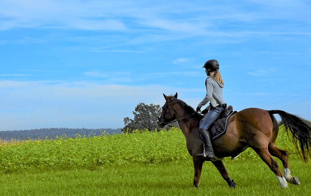 miglior giacca da equitazione bambina