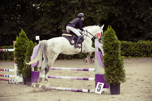 miglior giacca da equitazione donna