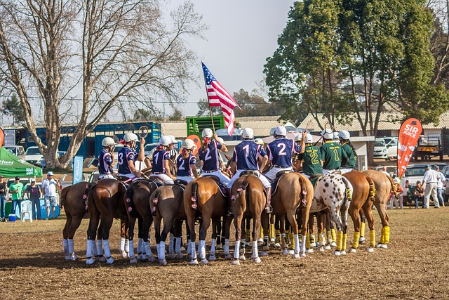 horse ball regole
