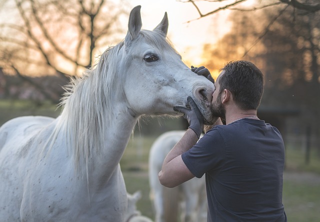 lavorare come groom
